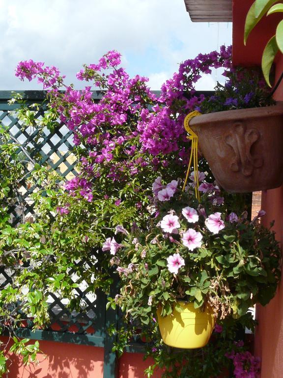 Bed & Breakfast Li Rioni Roma
